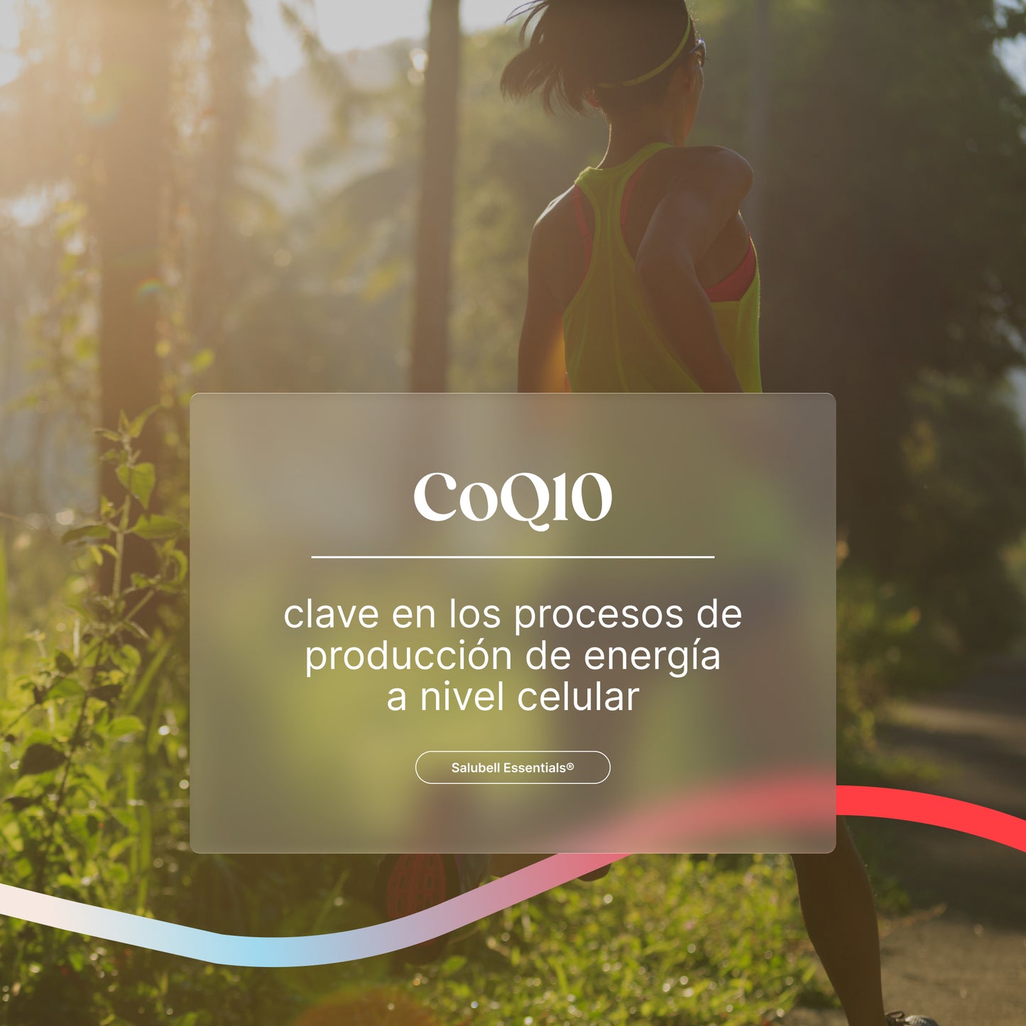 CoQ10 Salubell, clave en los procesos de producción de energía a nivel celular
