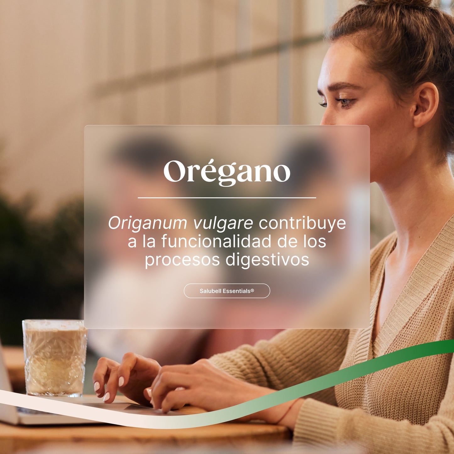 Orégano (Origanum vulgare), contribuye a la funcionalidad de los procesos digestivos - Salubell 
